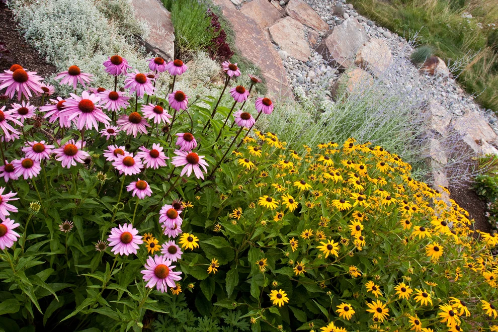 Sun Valley | Natural Stone Mountain Landscape by Terry T. King Landscape Architecture - Photo 12