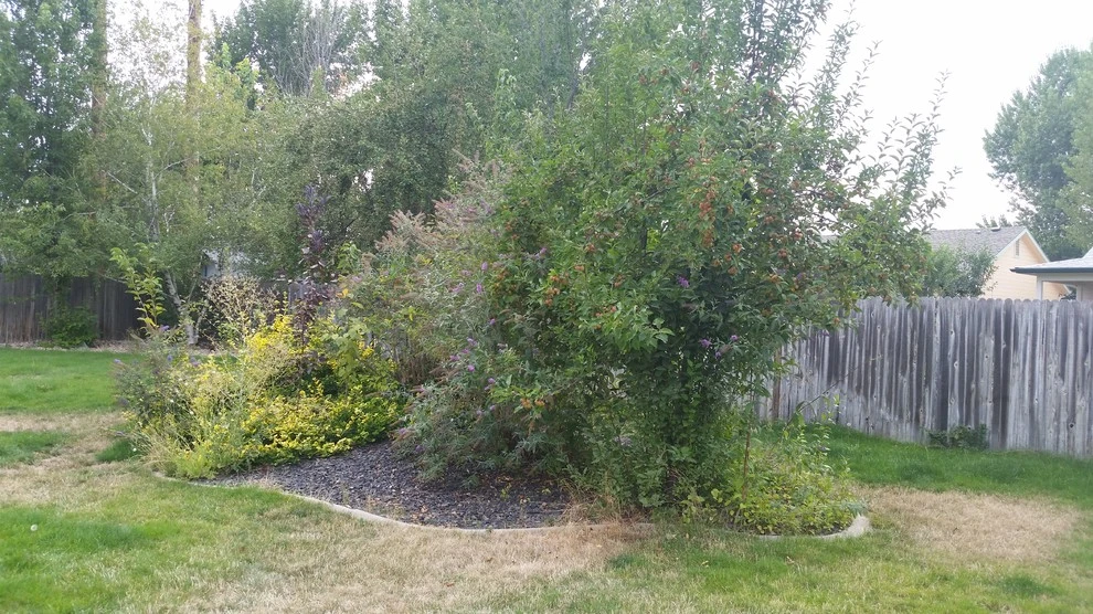 Tevana Garden Design - Photo 12