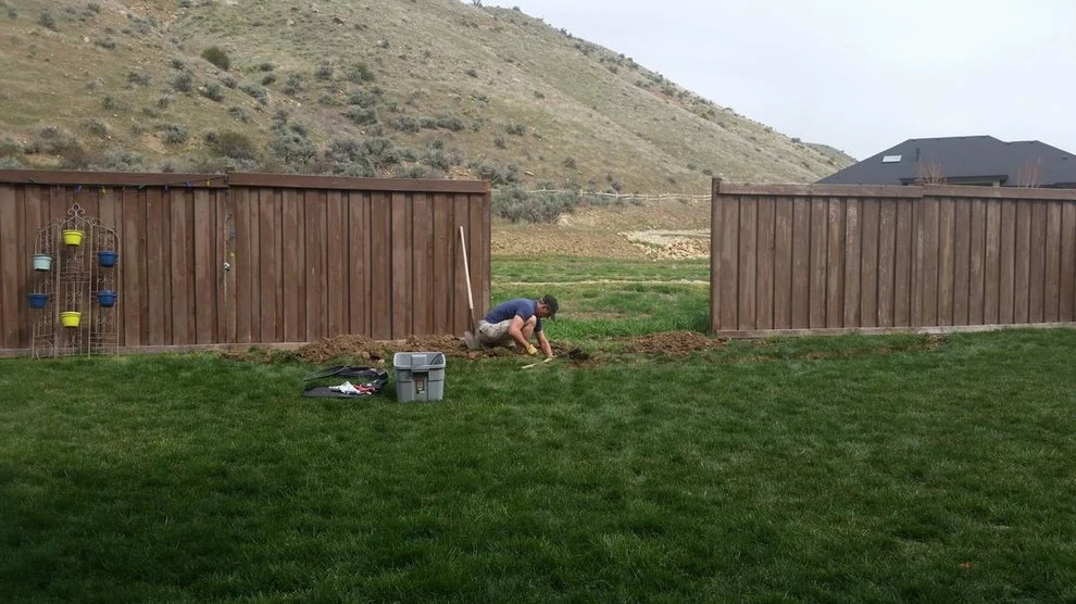 Long Fence Line project by Tevana Garden Design - Photo 2