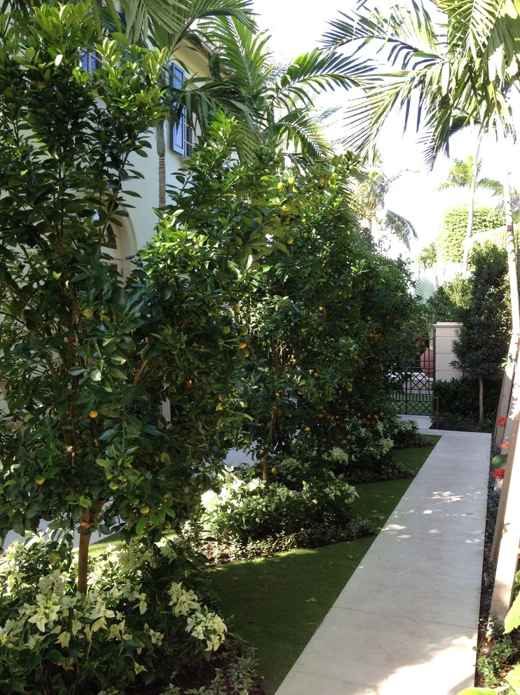 2015 Garden Dialogues: Palm Beach, March 22 by The Cultural Landscape Foundation - Photo 7