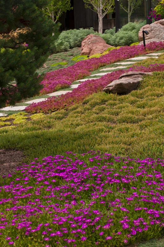 2015 Garden Dialogues: Boulder, CO, A Virtuous Garden, August 22 by The Cultural Landscape Foundation - Photo 4