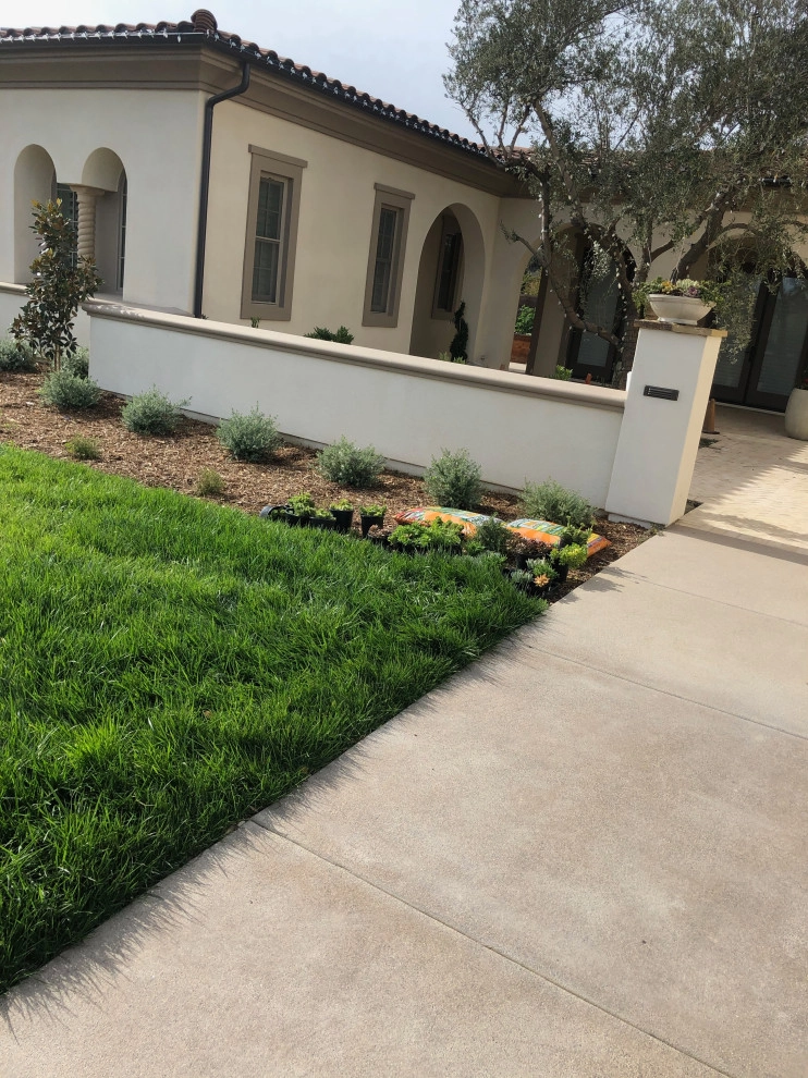 Del Sur, @ Del Mar , Ca. by Exterior Designs Landscape - Photo 32