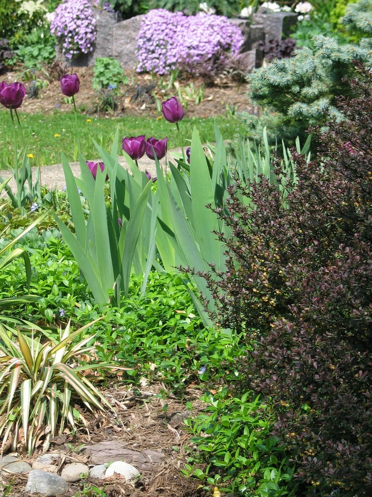 Tranquil Takoma Garden - Private Residence by The Landscape Group - TLG Design - Photo 4