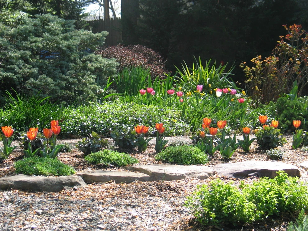 The Landscape Group - TLG Design - Photo 12