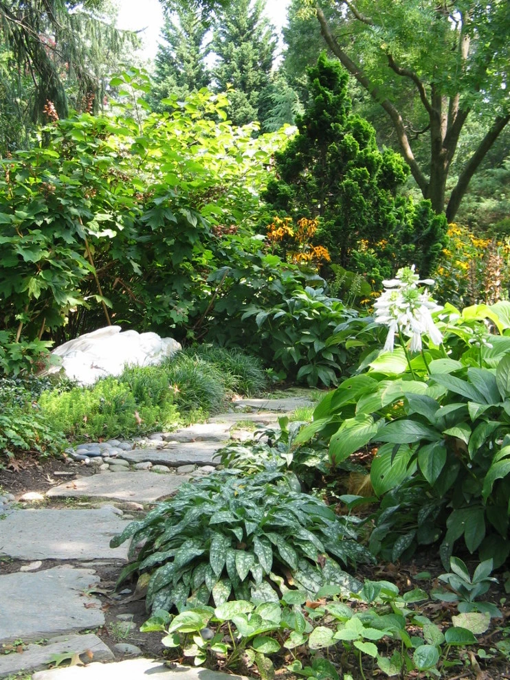 Tranquil Takoma Garden - Private Residence by The Landscape Group - TLG Design - Photo 5