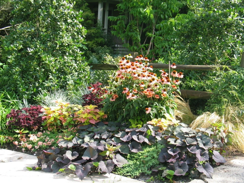 The Landscape Group - TLG Design - Photo 2