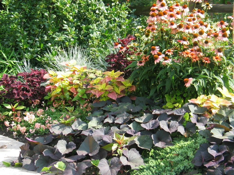 Tranquil Takoma Garden - Private Residence by The Landscape Group - TLG Design - Photo 11