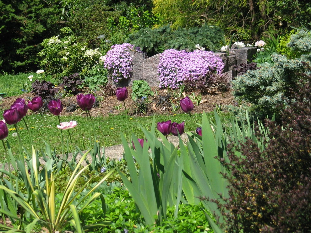 The Landscape Group - TLG Design - Photo 14