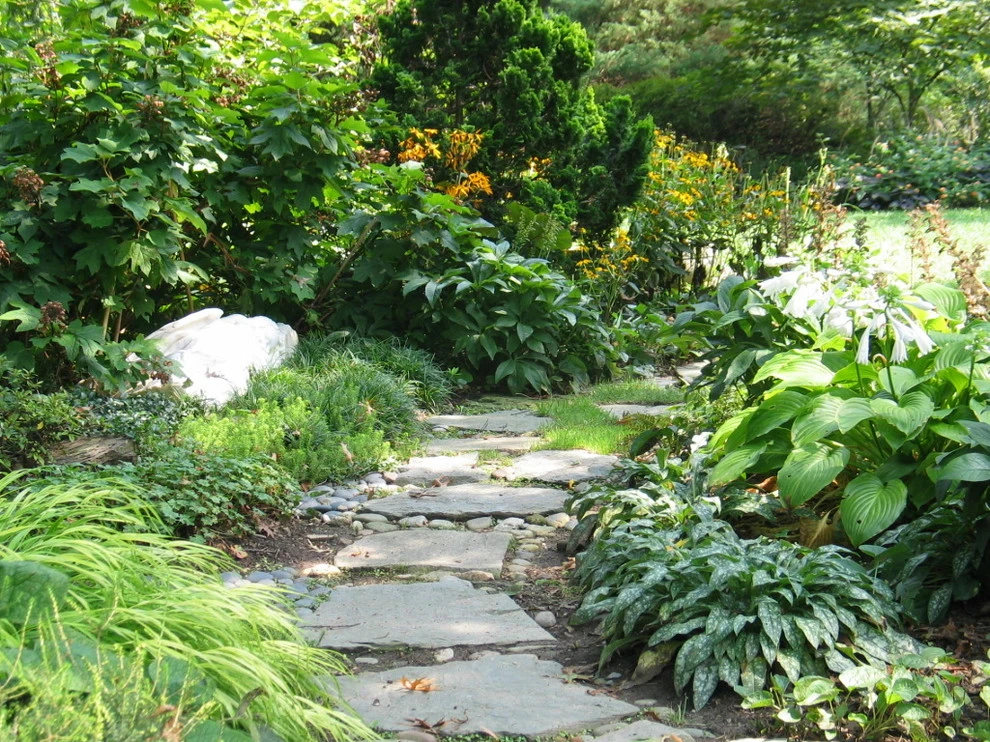 Tranquil Takoma Garden - Private Residence by The Landscape Group - TLG Design - Photo 8