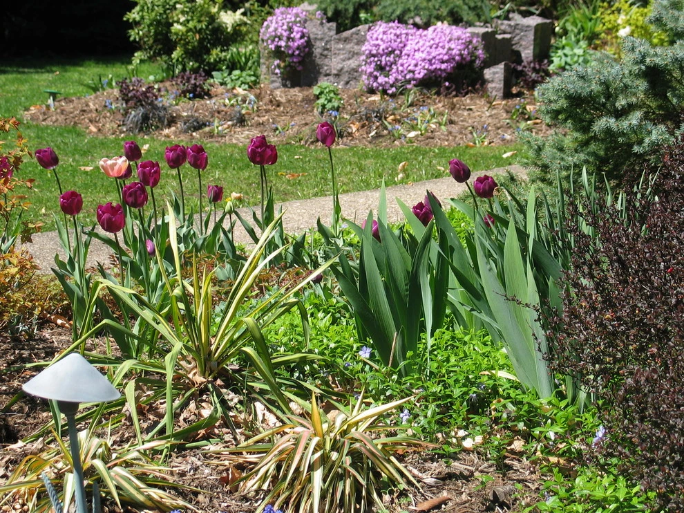 Tranquil Takoma Garden - Private Residence by The Landscape Group - TLG Design - Photo 6
