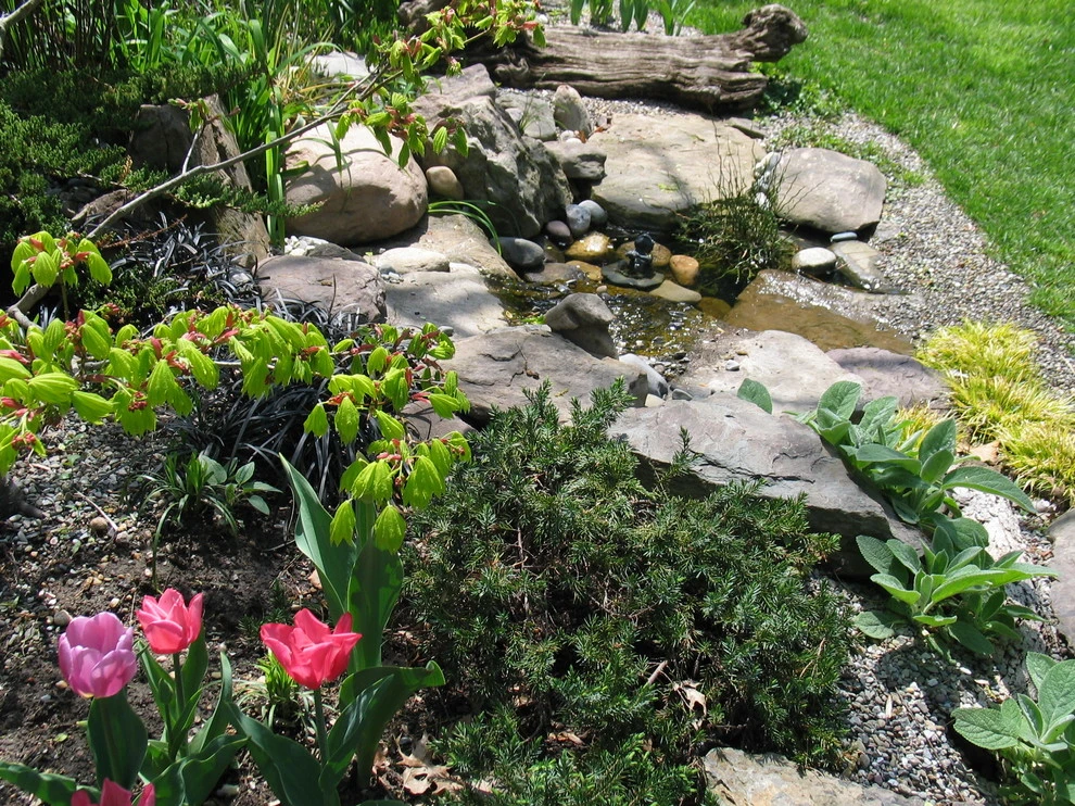 Tranquil Takoma Garden - Private Residence by The Landscape Group - TLG Design - Photo 7