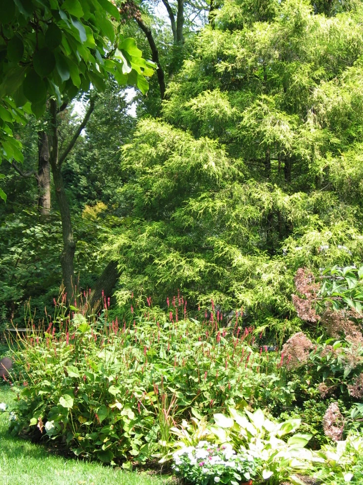 Tranquil Takoma Garden - Private Residence by The Landscape Group - TLG Design - Photo 15