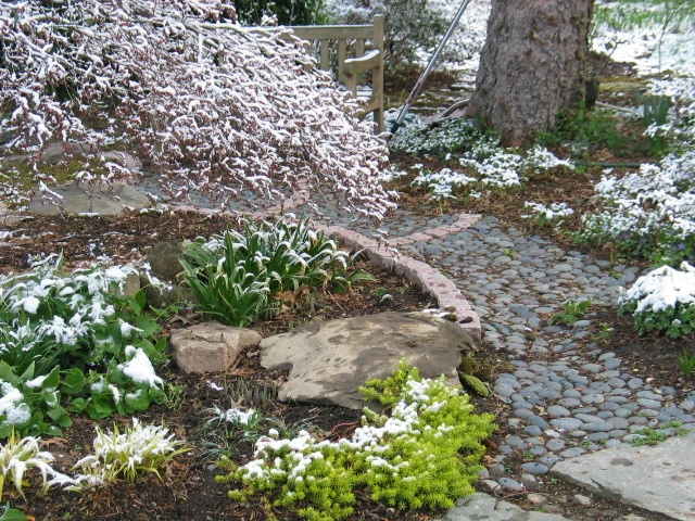 Tranquil Takoma Garden - Private Residence by The Landscape Group - TLG Design - Photo 12