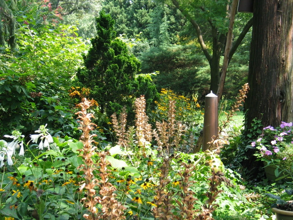 Tranquil Takoma Garden - Private Residence by The Landscape Group - TLG Design - Photo 10