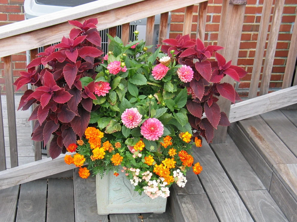 Rooftop Garden - Private Residence by The Landscape Group - TLG Design - Photo 3