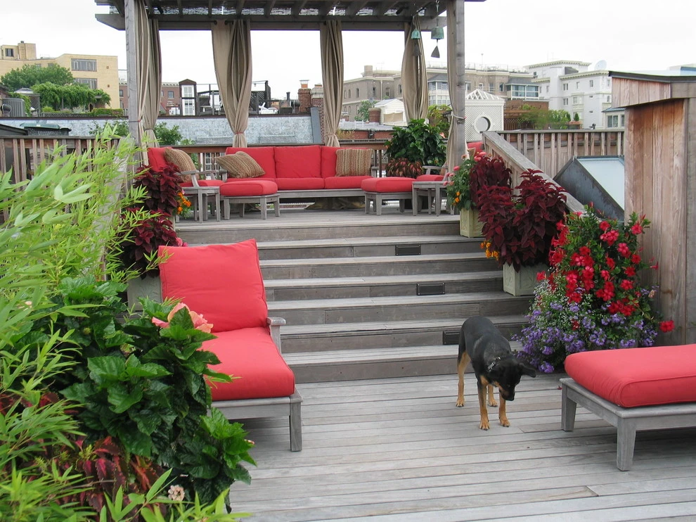 Rooftop Garden - Private Residence by The Landscape Group - TLG Design - Photo 9