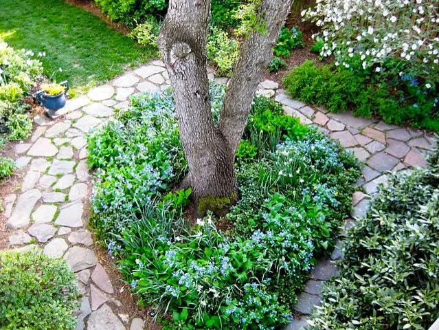 Ellicott House by Thomas Tait Gardens - Photo 2
