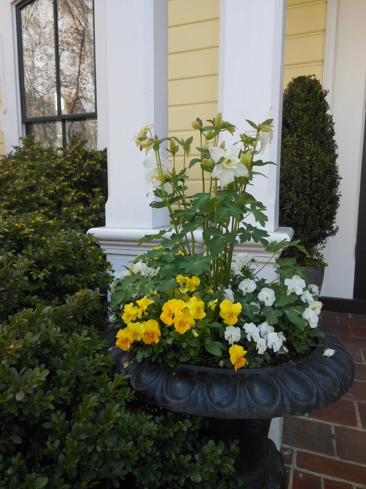 Thomas Tait Gardens - Photo 6