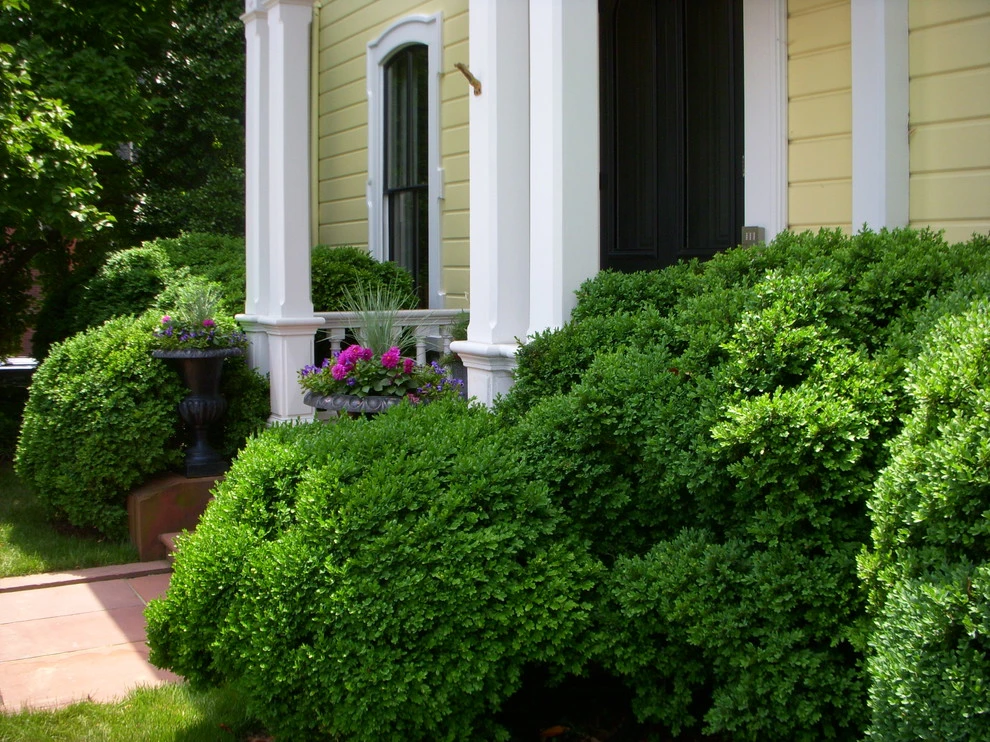 Washington DC Residence by Thomas Tait Gardens - Photo 3