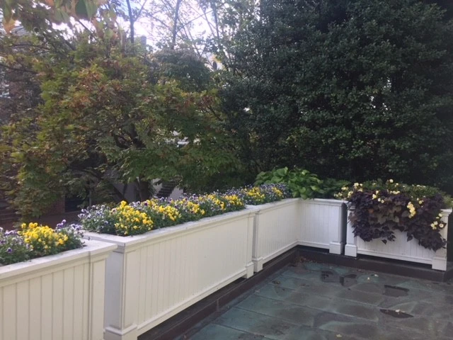Washington DC Residence by Thomas Tait Gardens - Photo 5