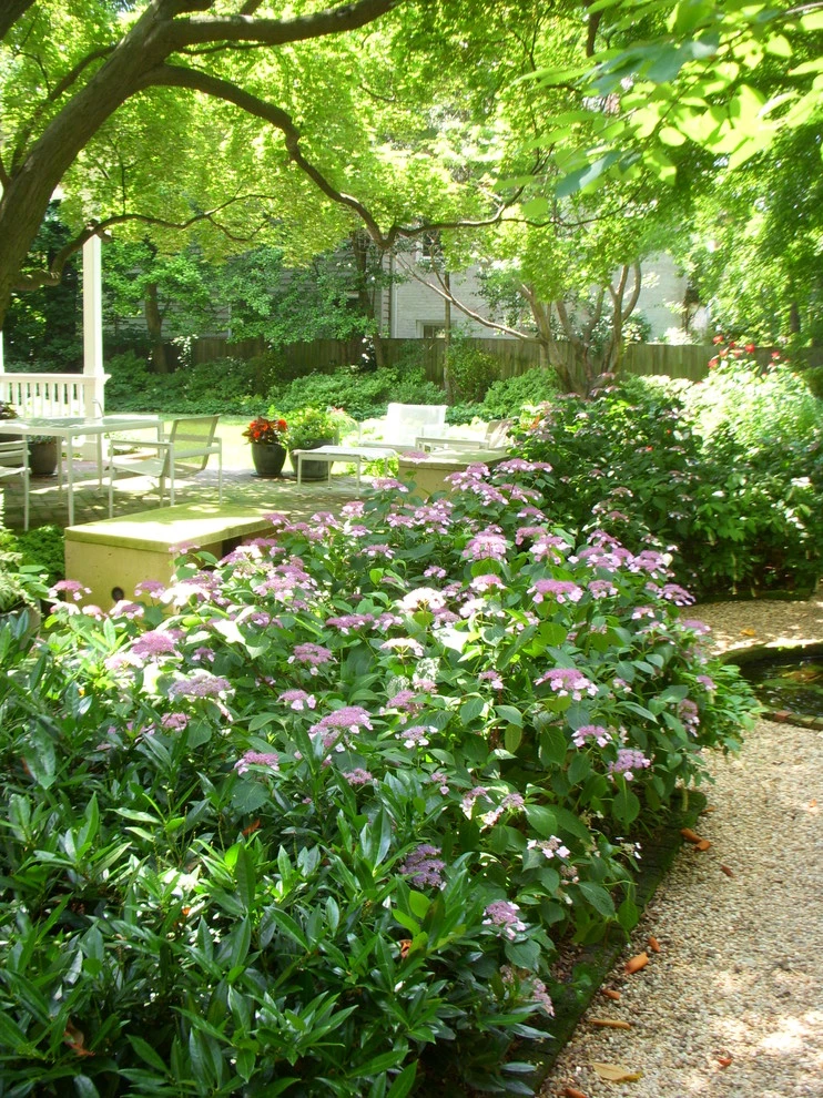 Washington DC Residence by Thomas Tait Gardens - Photo 8