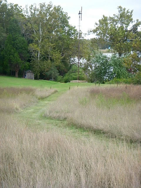 Thomas Tait Gardens - Photo 2