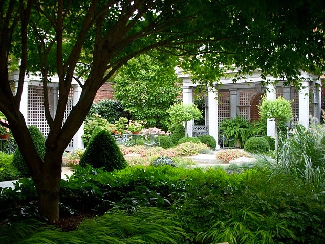 Georgetown Residence by Thomas Tait Gardens - Photo 2