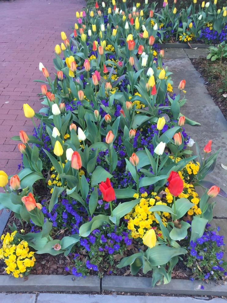 Thomas Tait Gardens - Photo 12