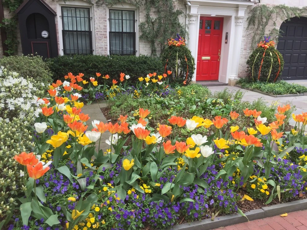 Charles Garden by Thomas Tait Gardens - Photo 2