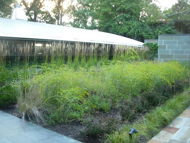 Gelman-Salop Garden by Thomas Tait Gardens - Photo 3