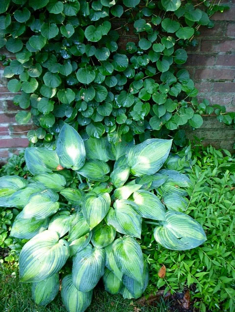 Gelman-Salop Garden by Thomas Tait Gardens - Photo 6