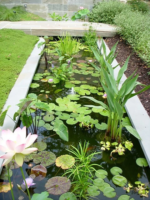 Gelman-Salop Garden by Thomas Tait Gardens - Photo 5