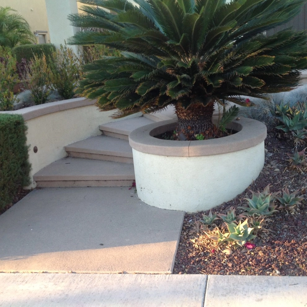 Sago Tree & Concrete Steps by Exterior Designs Landscape - Photo 2