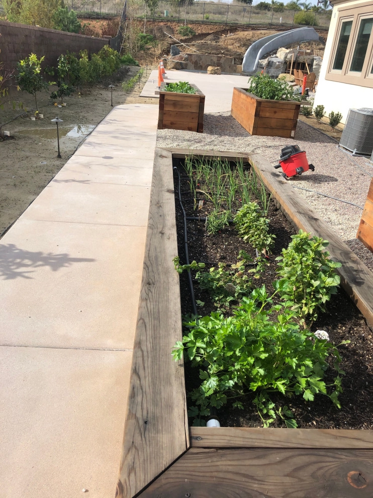 Del Sur, @ Del Mar , Ca. by Exterior Designs Landscape - Photo 10