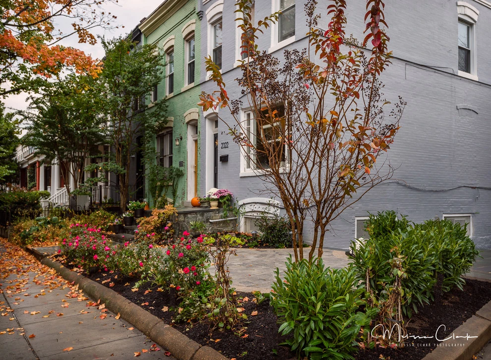 NW washington DC Courtyard Renovation by Tiger Lily Landscapes, LLC - Photo 2