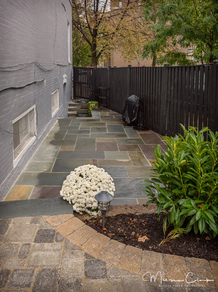 NW washington DC Courtyard Renovation by Tiger Lily Landscapes, LLC - Photo 4