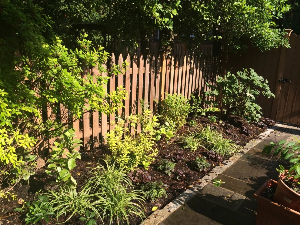 Northwest DC Cityscape by Tiger Lily Landscapes, LLC - Photo 4