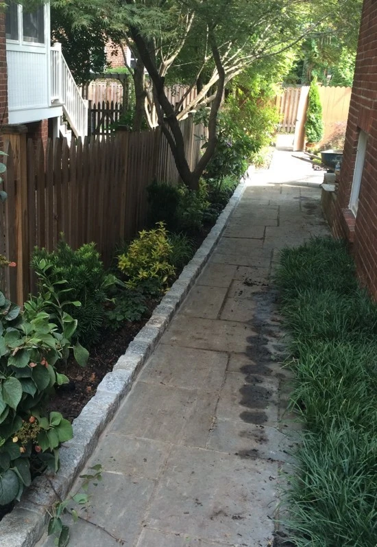 Northwest DC Cityscape by Tiger Lily Landscapes, LLC - Photo 6