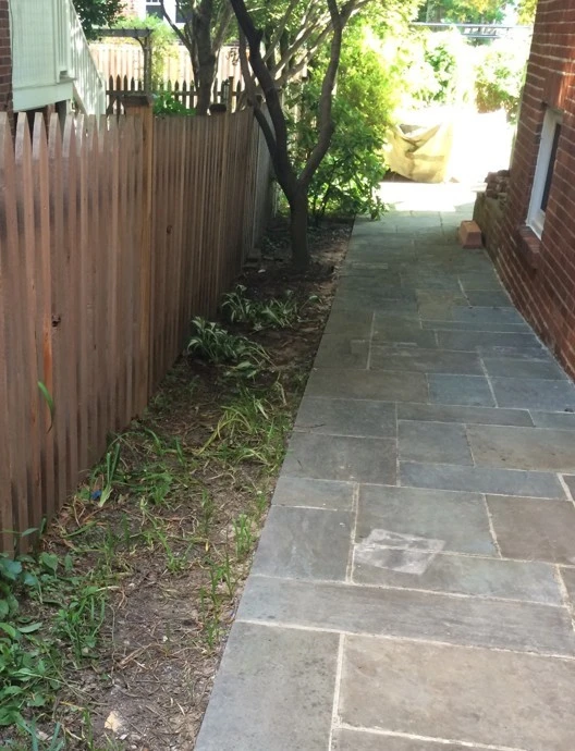 Northwest DC Cityscape by Tiger Lily Landscapes, LLC - Photo 2