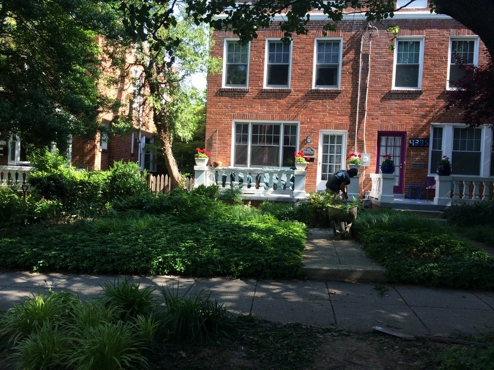 Tiger Lily Landscapes, LLC - Photo 2