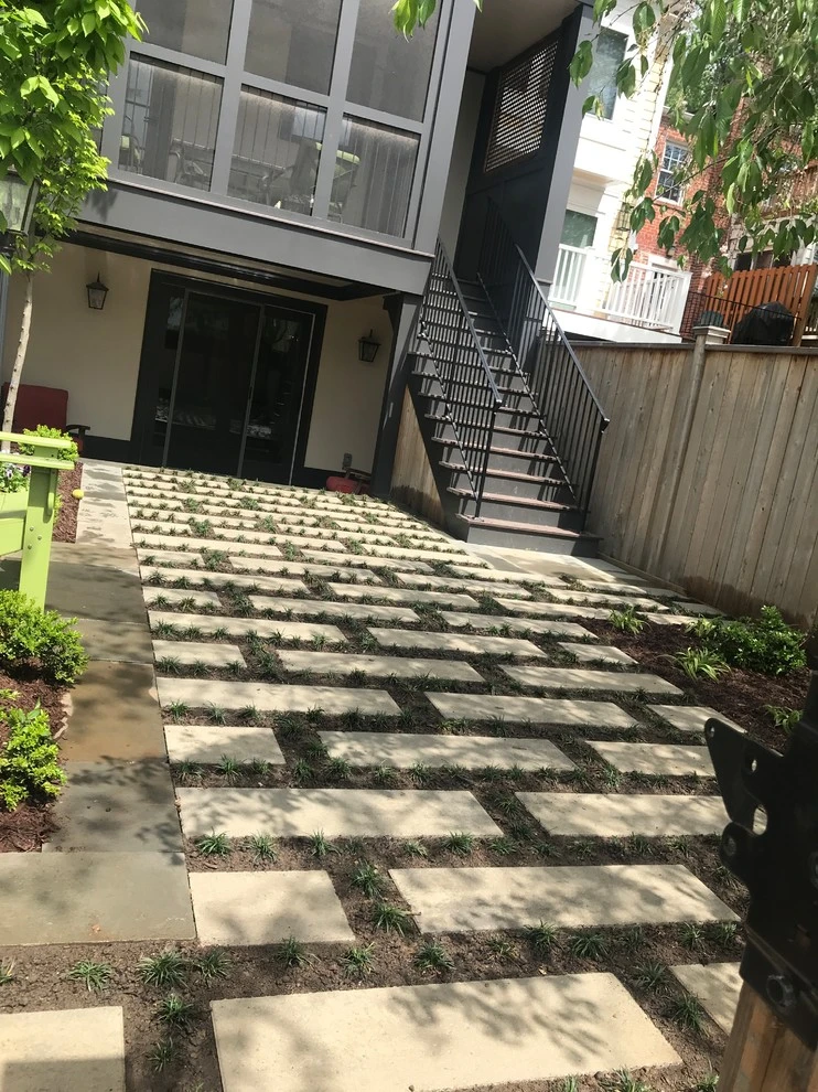 Northwest, DC Project by Tiger Lily Landscapes, LLC - Photo 3