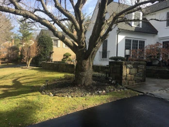 Driveway, Front Walkway, and Stone Wall Enhancement by Tiger Lily Landscapes, LLC - Photo 2