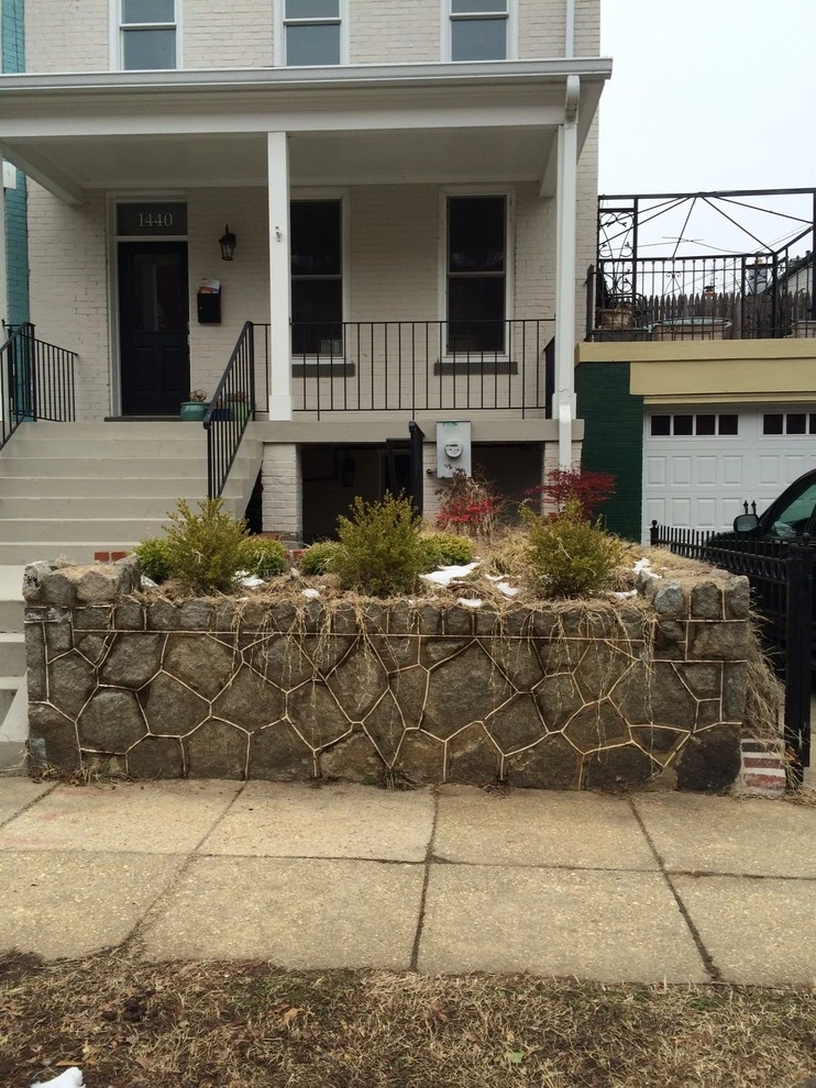 Capitol Hill Front Yard Renovation by Tiger Lily Landscapes, LLC - Photo 5