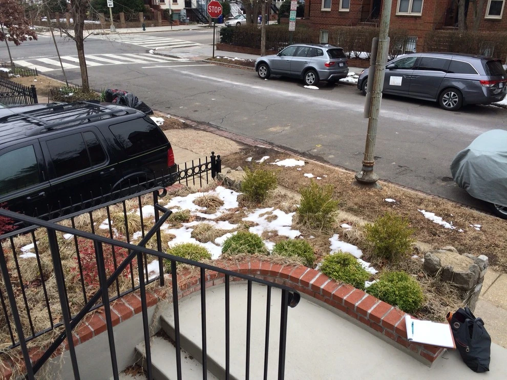 Capitol Hill Front Yard Renovation by Tiger Lily Landscapes, LLC - Photo 3