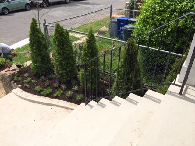 Capitol Hill Front Yard Renovation by Tiger Lily Landscapes, LLC - Photo 6