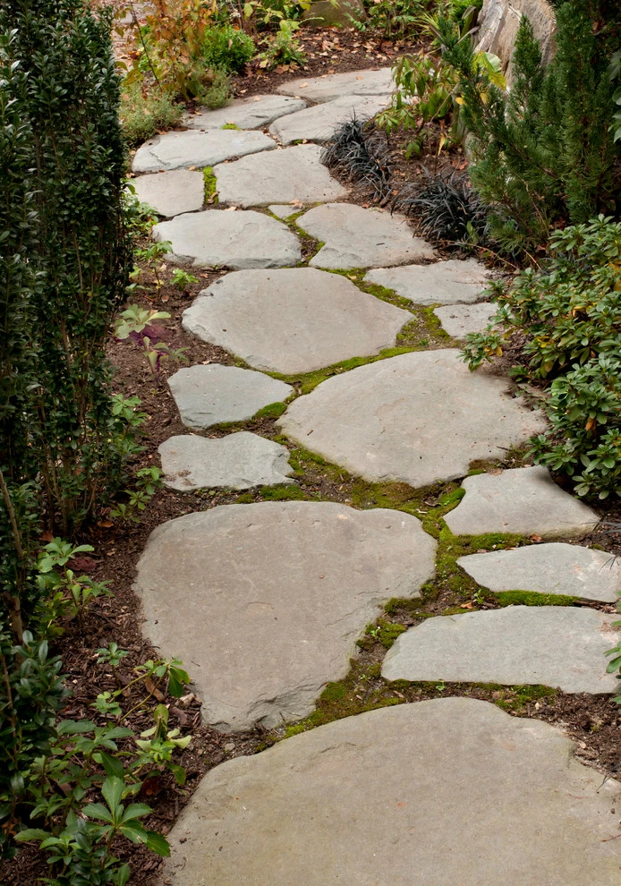 Northwest DC by Tiger Lily Landscapes, LLC - Photo 2