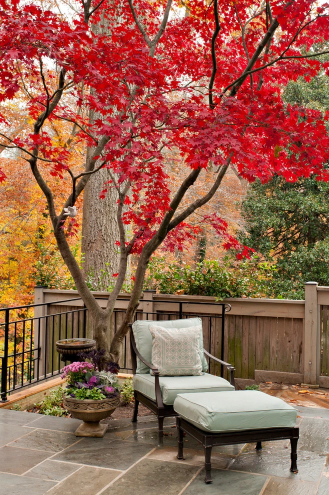 Northwest DC by Tiger Lily Landscapes, LLC - Photo 7
