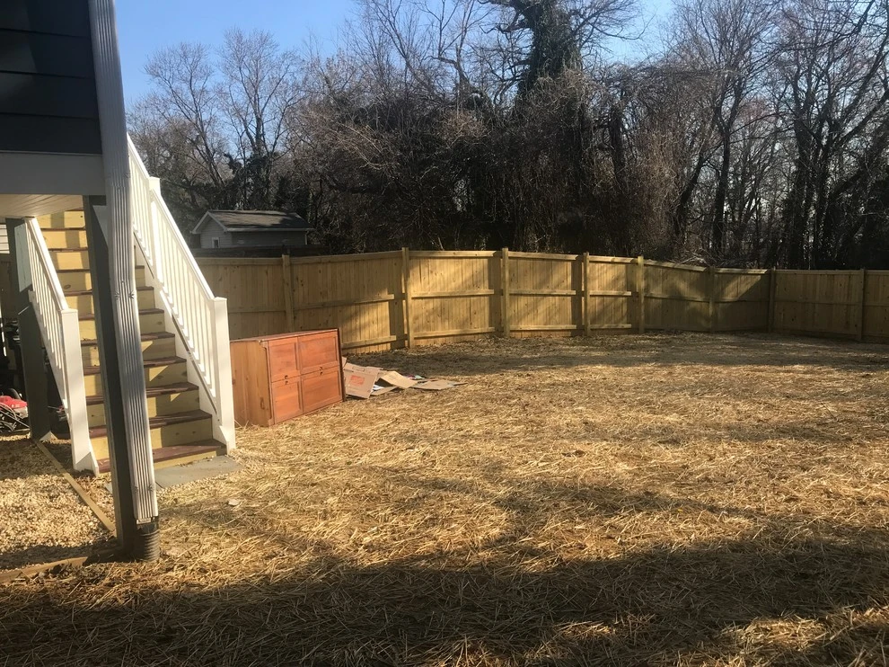 Northeast DC Project by Tiger Lily Landscapes, LLC - Photo 3