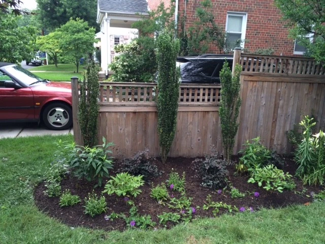 Arlington Landscape Makeover by Tiger Lily Landscapes, LLC - Photo 2