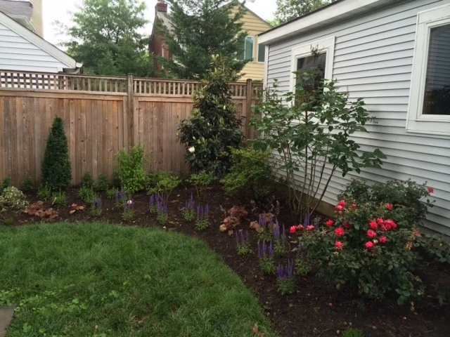 Arlington Landscape Makeover by Tiger Lily Landscapes, LLC - Photo 8